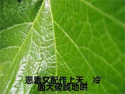 热文推荐沈黎恶毒女配作上天，冷面大佬跪地哄：结局+番外精编之作