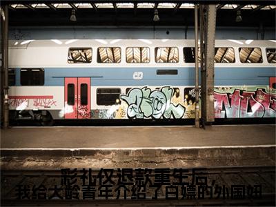 彩礼仅退款重生后，我给大龄青年介绍了白嫖的外国妞小说完本章节前文+全篇阅读（周渤海,许红娘）连载中
