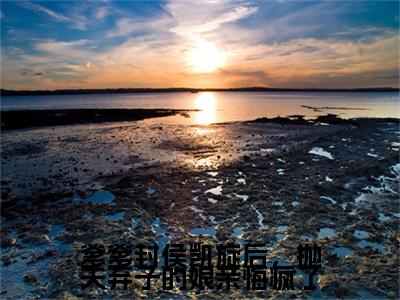 电子书+番外篇章+（林若宁）免费版在线阅读