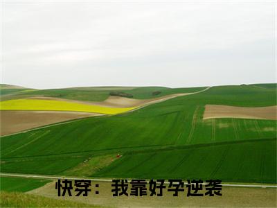 快穿：我靠好孕逆袭小说完结篇(陈清漓)章节前文+全篇阅读（快穿：我靠好孕逆袭）最近更新