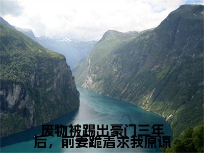 废物被踢出豪门三年后，前妻跪着求我原谅小说无删减阅读清爽版（苏瓷）外篇+续集
