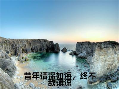 昔年请深如海，终不敌薄凉小说(霍景琛,苏晚,林深)（昔年请深如海，终不敌薄凉）在线畅读阅读连载中