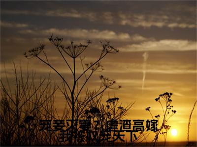沈锦殊小说(宠妾灭妻？虐渣高嫁我被权宠天下)+前传（沈锦殊）阅读
