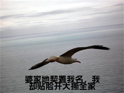 婆家地契署我名，我却贴脸开大撕全家是什么小说(魏国强,魏红,林军)（婆家地契署我名，我却贴脸开大撕全家）全本完整清爽版在线+无广告结局