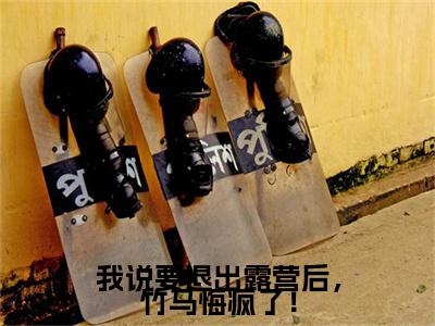 阿月,林屿,张浩小说章节目录+章节前文（我说要退出露营后，竹马悔疯了！）TXT清爽版在线