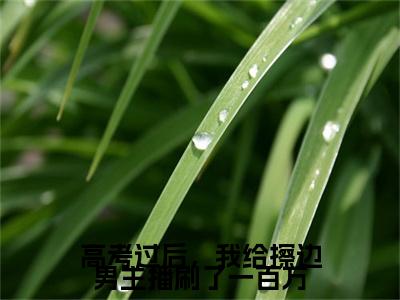 一百,解释,油漆彩蛋小说结尾+附加（高考过后，我给擦边男主播刷了一百万）清爽版阅读