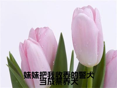 热文推荐小黑,小琳附加(小黑,小琳)妹妹把我收养的警犬当成禁养犬：结局+番外免费品鉴