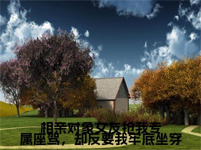 相亲对象女友抢我专属座驾，却反要我牢底坐穿小说（顾霖,周浅浅）全文免费阅读无弹窗_相亲对象女友抢我专属座驾，却反要我牢底坐穿小说全文免费阅读）顾霖,周浅浅+后续评价五颗星