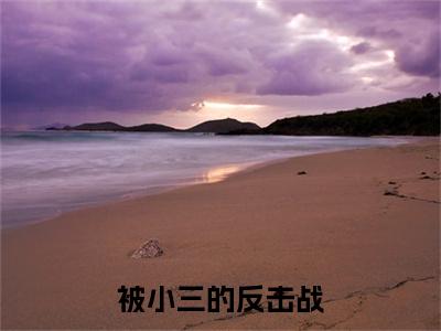 纪君范,亓霏霏(被小三的反击战)：结局+番外评价五颗星