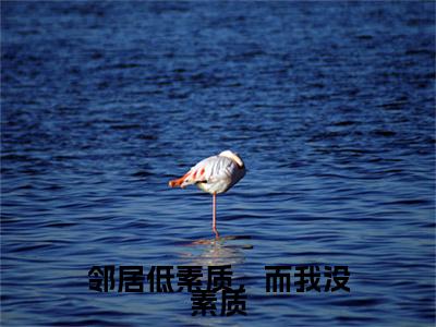 热文推荐魏来小说（邻居低素质，而我没素质）前传列表