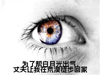 陆沉舟,苏娇娇,林语心：结局+番外免费品鉴(为了帮白月光出气，丈夫让我在荒漠徒步回家)全书在线无广告高口碑小说