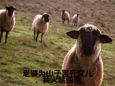 热文推荐苏薇娅老婆为山子害死女儿，我火烧医院小说大结局（老婆为山子害死女儿，我火烧医院）书荒必看列表