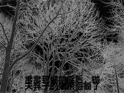 （头条）林若宁(爹爹封侯凯旋后，抛夫弃子的娘亲悔疯了)整本免费版阅读无广告（林若宁）