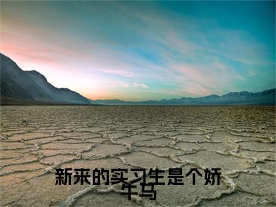 何以欣,周嘉树小说全篇完整在线阅读（新来的实习生是个娇牛马）热门章节列表