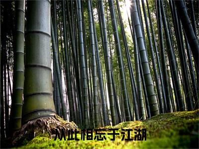 终章小说从此相忘于江湖小说(从此相忘于江湖)已更新+番外篇章（贺佳年,林甜甜）无广告
