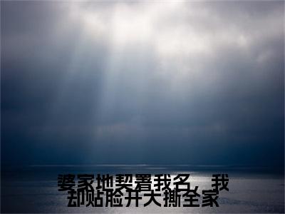 魏国强,魏红,林军小说(婆家地契署我名，我却贴脸开大撕全家)外篇+结局（魏国强,魏红,林军）全篇在线阅读