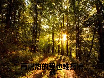小说大结局小说江以夏薄砚生小说已更新+特别篇（再炽热的爱也难抵凉薄）纯净版