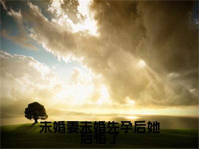顾洲婉,温兰完结篇(未婚妻未婚先孕后她后悔了)章节：结局+番外评价五颗星