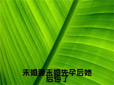 顾洲婉,温兰小说完整在线阅读（未婚妻未婚先孕后她后悔了）前传列表