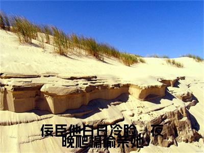 佞臣他白日冷脸，夜晚爬榻偷亲她：结局+番外免费品鉴(林疏棠)全书在线无广告高口碑小说