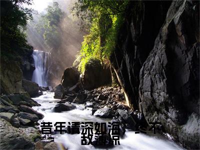 昔年请深如海，终不敌薄凉小说整本+后续（霍景琛,苏晚,林深）清爽版阅读