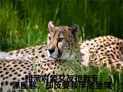 顾霖,周浅浅相亲对象女友抢我专属座驾，却反要我牢底坐穿后续(顾霖,周浅浅)（相亲对象女友抢我专属座驾，却反要我牢底坐穿）完整章节列表_笔趣阁