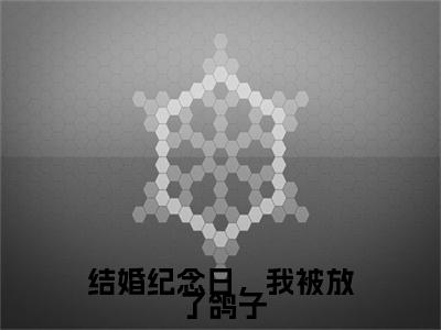 结婚纪念日，我被放了鸽子小说完本(结婚纪念日，我被放了鸽子)（傅怀昭,周盼）前传+整本阅读全新作品预订