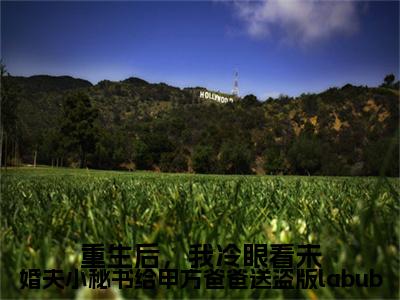 重生后，我冷眼看未婚夫小秘书给甲方爸爸送盗版labubu：结局+番外免费品鉴(周屿,林小柔,江宇城)全书在线无广告高口碑小说