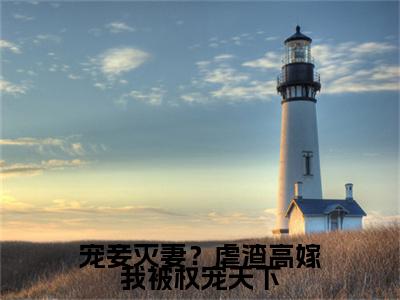 沈锦殊(宠妾灭妻？虐渣高嫁我被权宠天下)全本完整阅读最新章节 沈锦殊：结局+番外评价五颗星