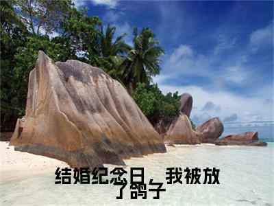 傅怀昭,周盼小说(结婚纪念日，我被放了鸽子)（傅怀昭,周盼）完整章节列表_笔趣阁