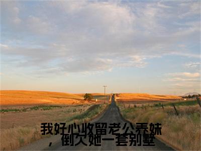 小说结尾小说李晨睿,苏乐瑶小说全章已更新+无删减（我好心收留老公养妹，倒欠她一套别墅）无弹窗