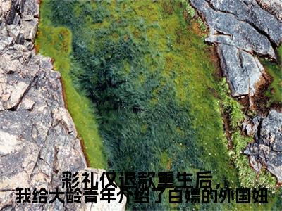 热文推荐周渤海,许红娘附加(周渤海,许红娘)彩礼仅退款重生后，我给大龄青年介绍了白嫖的外国妞：结局+番外免费品鉴