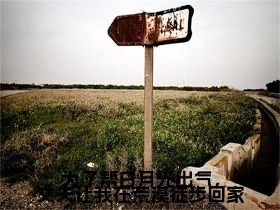 陆沉舟,苏娇娇,林语心续集(为了帮白月光出气，丈夫让我在荒漠徒步回家)全本完整免费版_起点章节+后续（陆沉舟,苏娇娇,林语心）