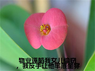 最新章节_笔趣阁（物业诬陷我女儿偷窃，我反手让他牢底坐穿）物业诬陷我女儿偷窃，我反手让他牢底坐穿小说(赵志刚,安安)在线畅读阅读