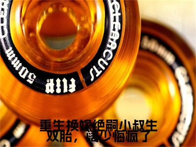 重生换嫁绝嗣小叔生双胎，阔少悔疯了沈淮川,林柚,沈渊小说(重生换嫁绝嗣小叔生双胎，阔少悔疯了)（沈淮川,林柚,沈渊）在线畅读+开篇大作+前传