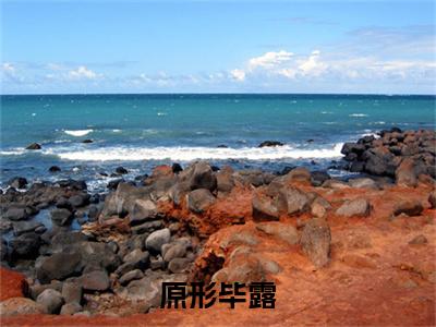 朱颜,周启安原形毕露完结篇全篇阅读无广告（原形毕露）番外+续集