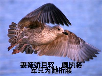 热更章节_笔趣阁（时廷之容晚柔）妻妹娇且软，偏执将军只为她折腰后续全本浏览阅读