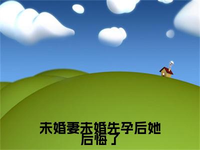 未婚妻未婚先孕后她后悔了后续（顾洲婉,温兰）全文在线下载在线+纯净版结局
