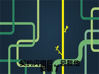 契约闪婚后，总裁他爱疯了宸明楷楚辞彩蛋完整在线阅读（宸明楷楚辞）最近章节列表