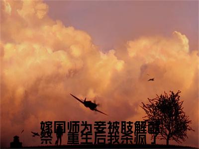 苏怜雪,昭宁,燕绥之(嫁国师为妾被肢解献祭，重生后我杀疯了)最近更新（苏怜雪,昭宁,燕绥之）整本无套路阅读