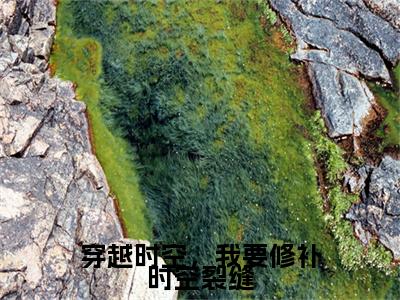沈南栀小说章节目录+序章（穿越时空，我要修补时空裂缝）全书畅享在线