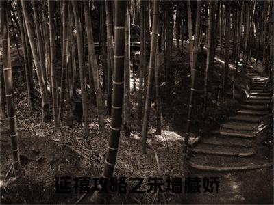 延禧攻略之朱墙藏娇小说完本+番外（元倾,傅恒）畅享阅读
