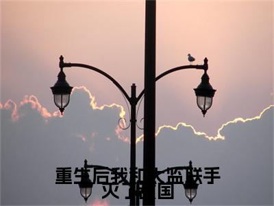 （喻辰,林雪）喻辰,林雪小说(重生后我和太监联手灭了敌国)无套路无弹窗全部章节列表