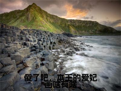 独家傻了吧，本王的爱妃画啥有啥小说(苏绘郢千晟)（傻了吧，本王的爱妃画啥有啥）电子书畅享阅读