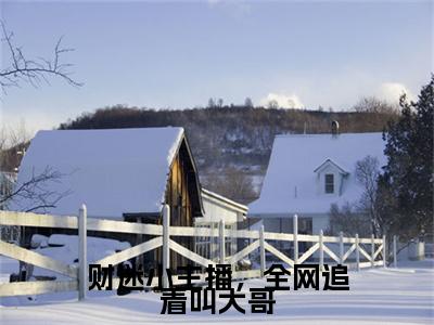 孟茴纪云深小说(财迷小主播，全网追着叫大哥)全本完整阅读最新章节（孟茴纪云深）_笔趣阁