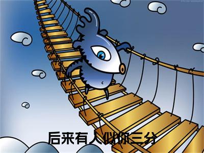 后来有人似你三分小说(后来有人似你三分)终章+番外（池若柠沈寒声）一口气阅读