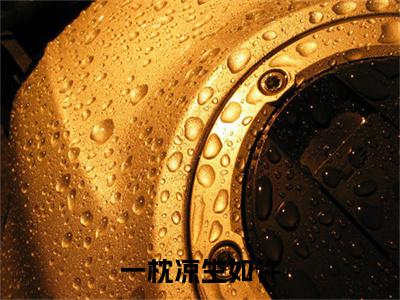 前传温沐熙,顾槐安续集(温沐熙,顾槐安)终章阅读极简（温沐熙,顾槐安）