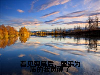 妹宝,皇子党,登基看见弹幕后，替弟为质的我觉醒了完结篇(妹宝,皇子党,登基)章节目录+章节前文（看见弹幕后，替弟为质的我觉醒了）全章无套路在线