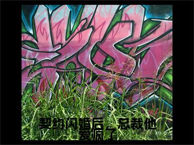 热文推荐宸明楷楚辞:全文+番外（契约闪婚后，总裁他爱疯了）书荒必看列表