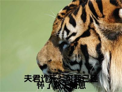 最新章节（陆司遥,陆宏）夫君诈死？可我已经怀了郡王的崽：结局+番外精品选集附加章节列表